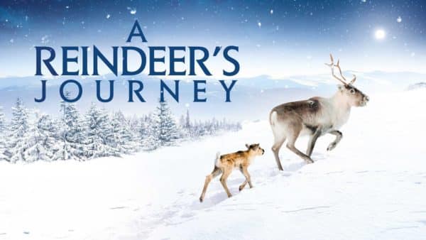Sammi’s Favorite Things: A Reindeer’s Journey