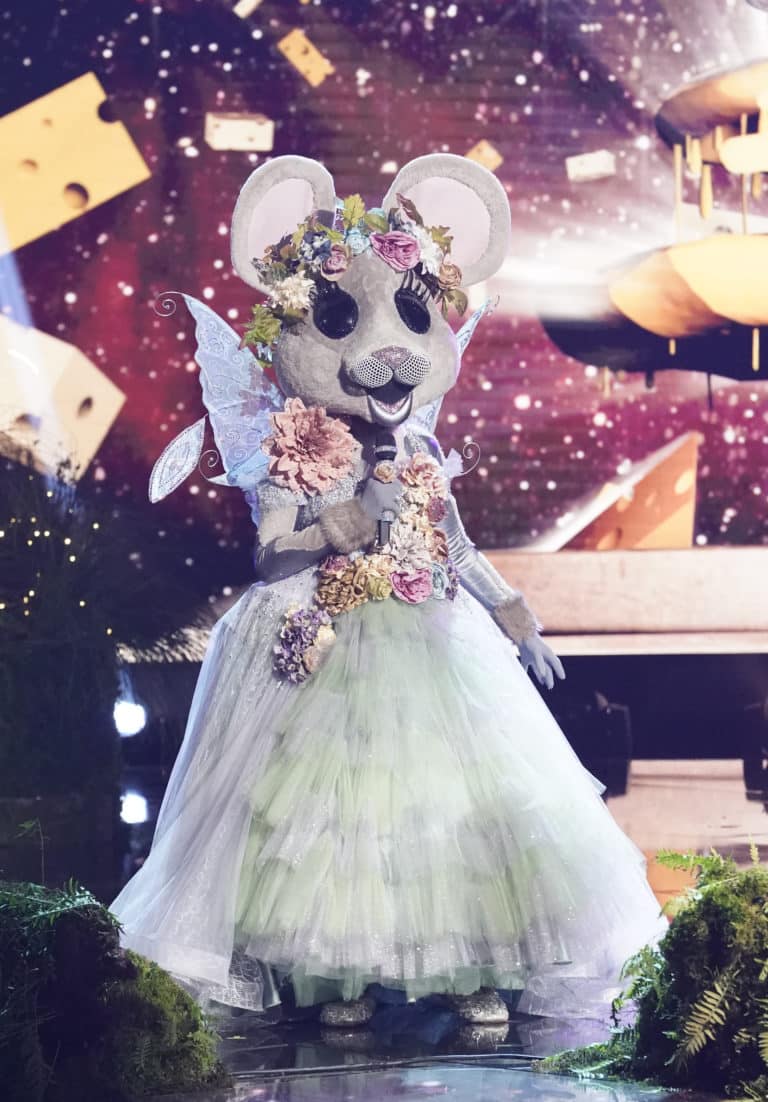 The masked singer