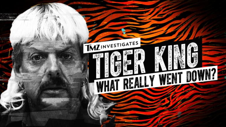 TMZ_TigerKing_Logo_11_02