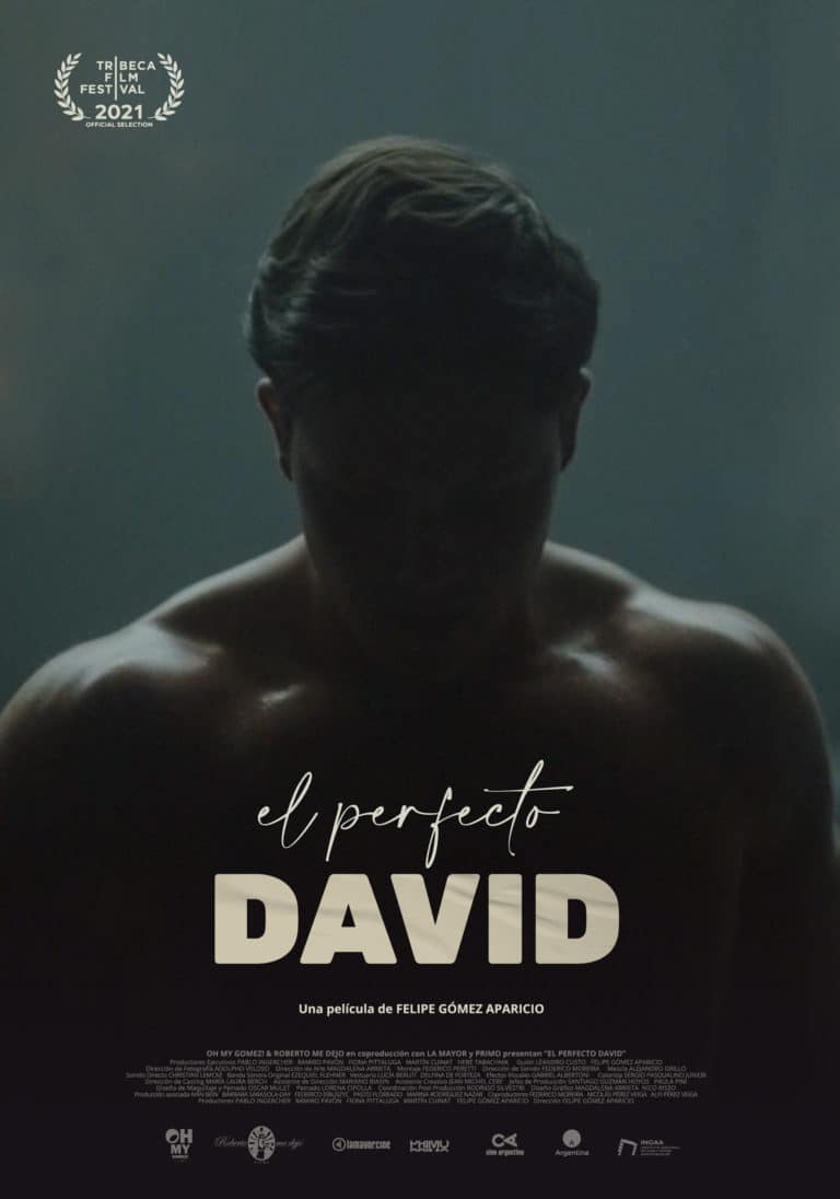 afiche EL PERFECTO DAVID