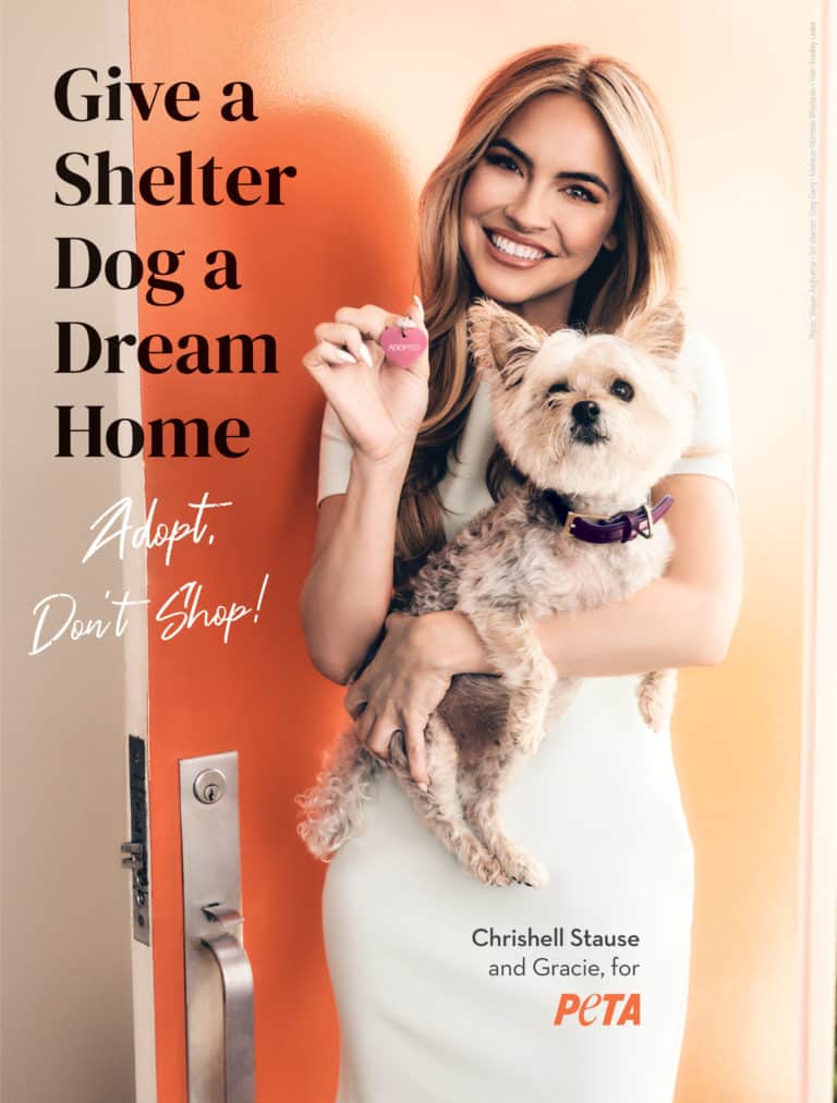 Chrishell Stause Celebrates National Dog Day