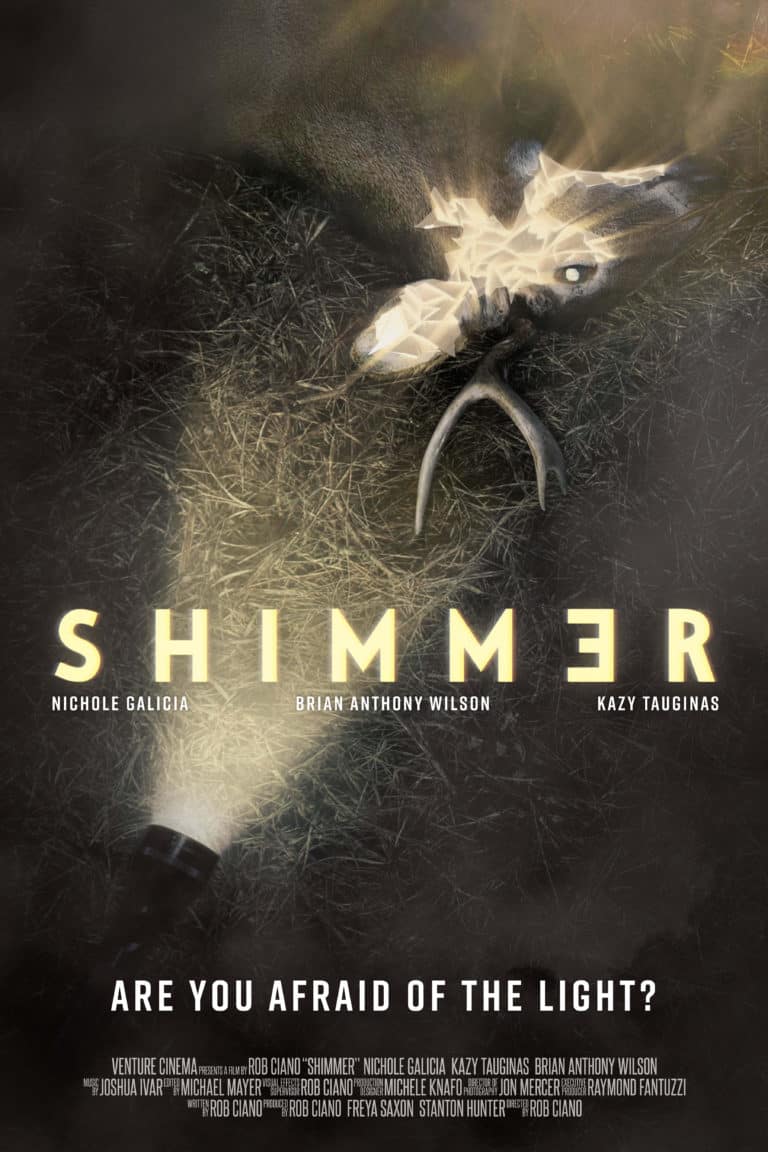 Shimmer: Meet Rob Ciano