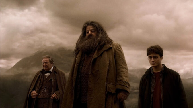 Harry Potter Actor Robbie Coltrane Dead at 72