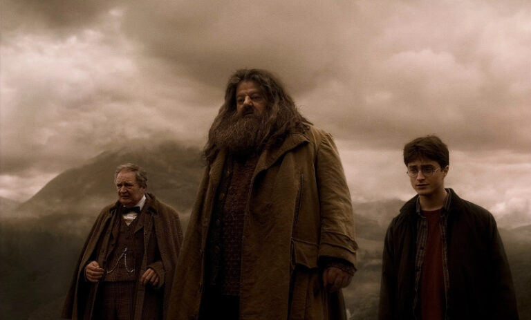 Harry Potter Series Ordered at Max