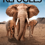 Elephant Refugees Sneak Peek