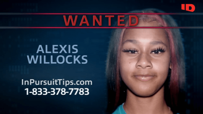 In Pursuit with John Walsh: Alexis Willcocks Captured