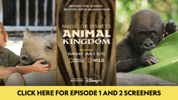 Magic of Disney's Animal Kingdom Sneak Peek