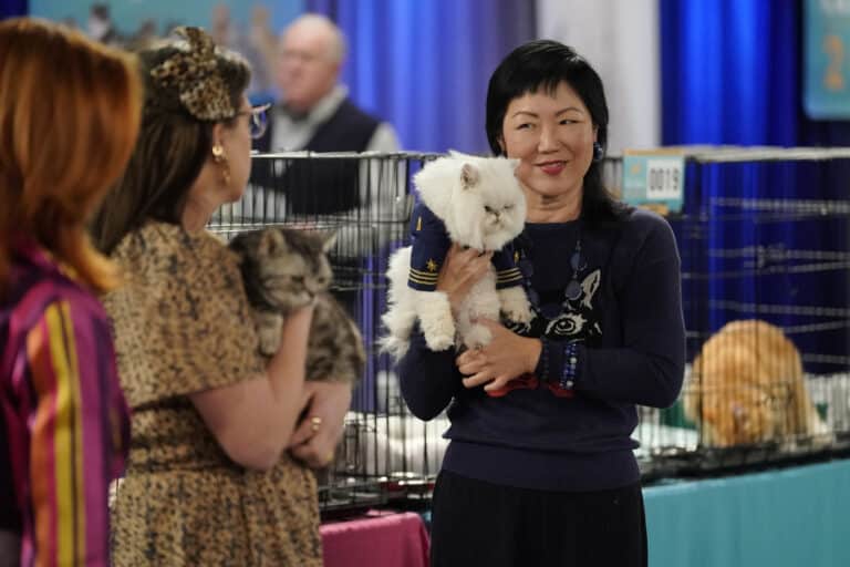 Call Me Kat Recap for Call Me Pretty Kitty