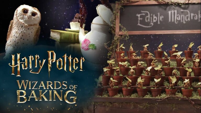 Harry Potter Wizards of Baking Recap for 11/28/2024