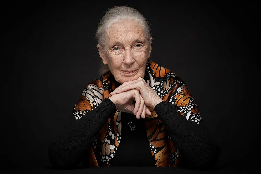 Jane Goodall Passes Away at 91