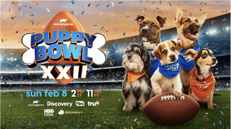 Puppy Bowl XXII Sneak Peek