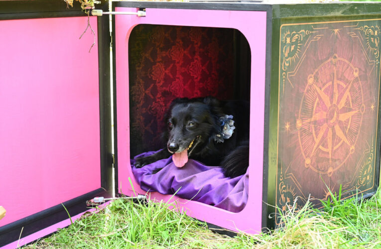 The Traitors Recap for Season Four Episode Nine