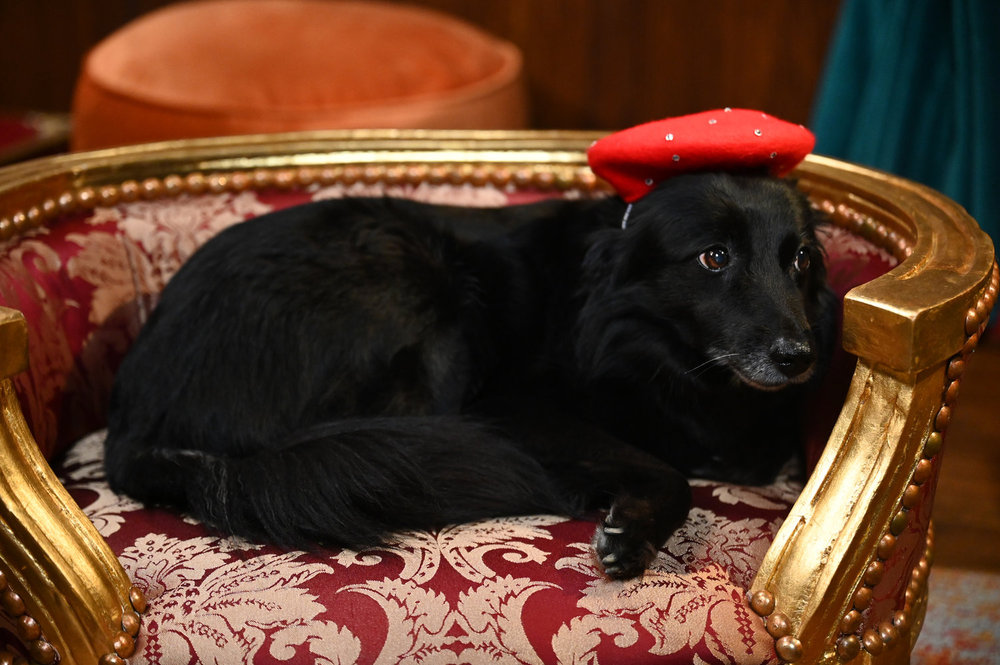 The Traitors Season Four Finale Recap