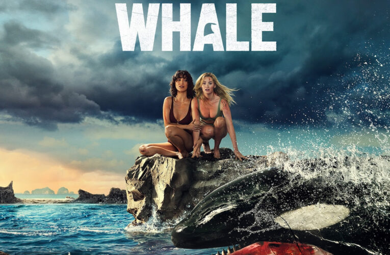 Killer Whale Sneak Peek