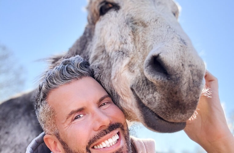 Donkey King: Meet Ron King