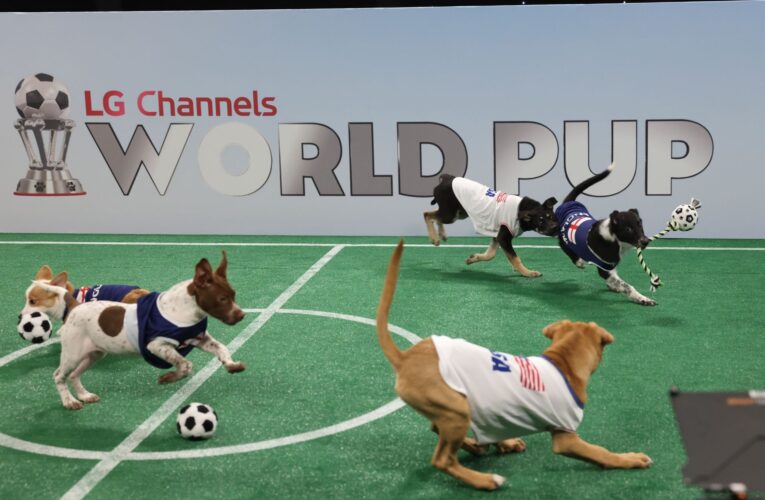 World Pup Sneak Peek