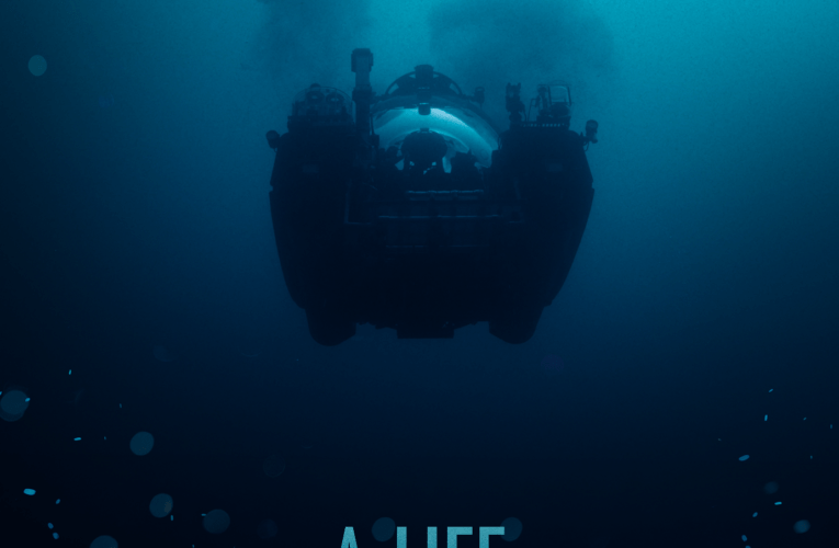 A Life Illuminated Sneak Peek